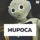 Startups que falharam miseravelmente