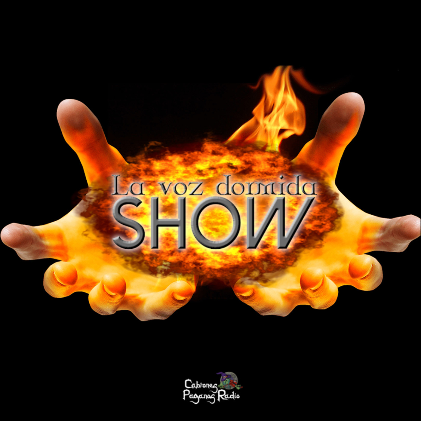 La Voz Dormida Show