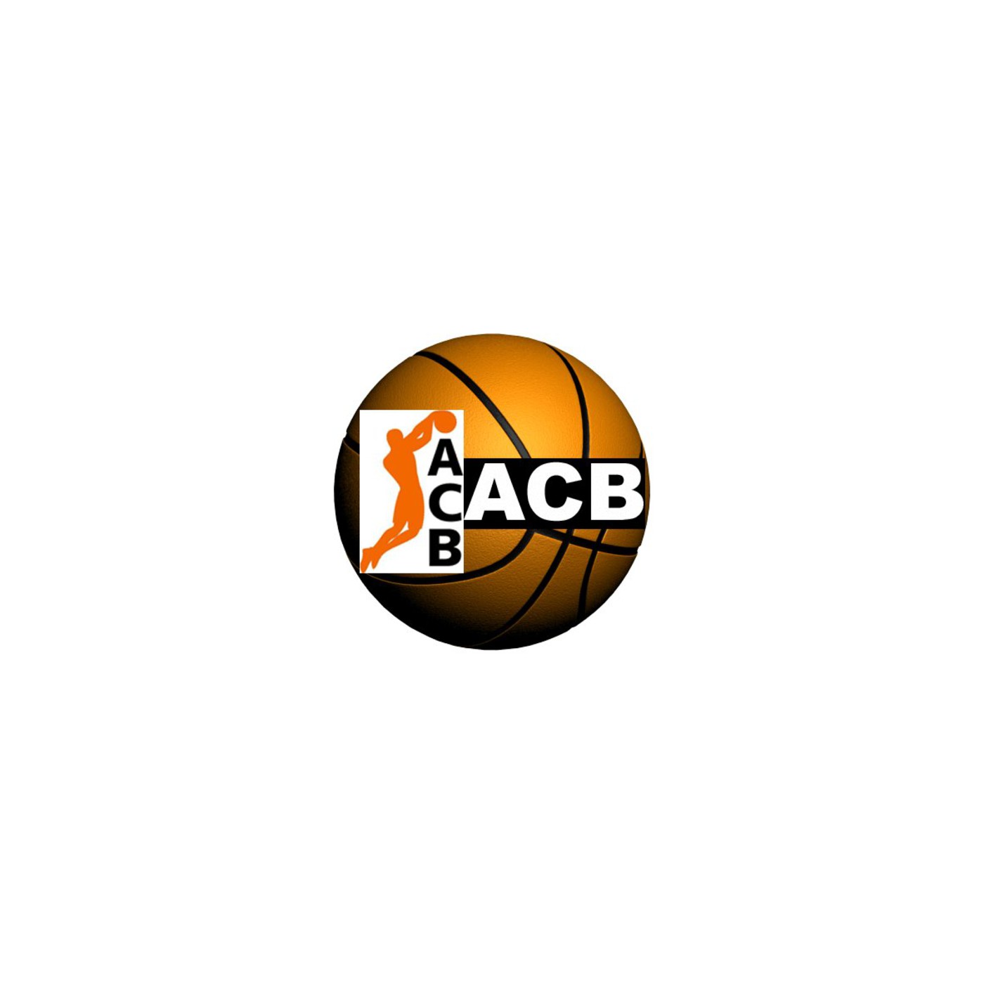 Liga ACB 2010-11