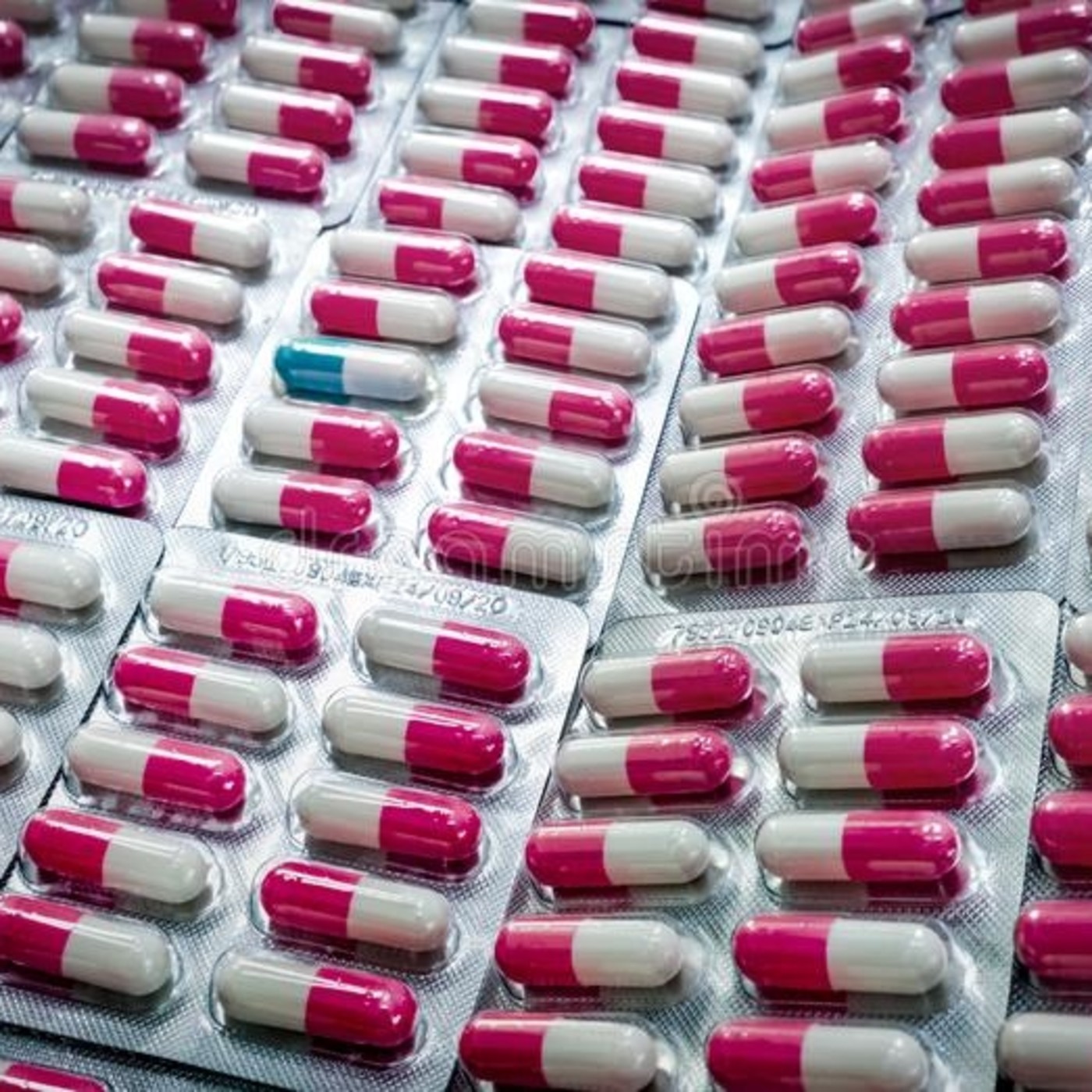 En menos de una página - Cápsulas