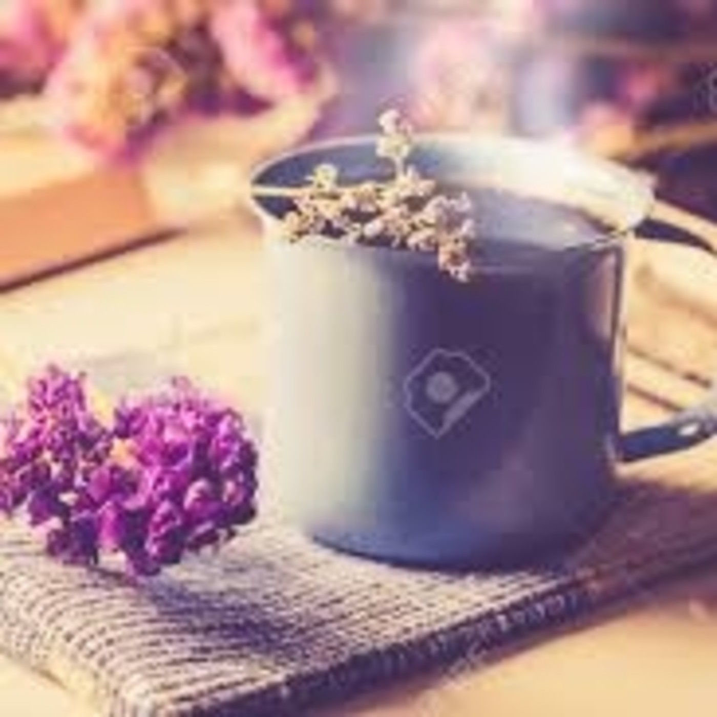 MEDITACIONES EN FEMENINO
