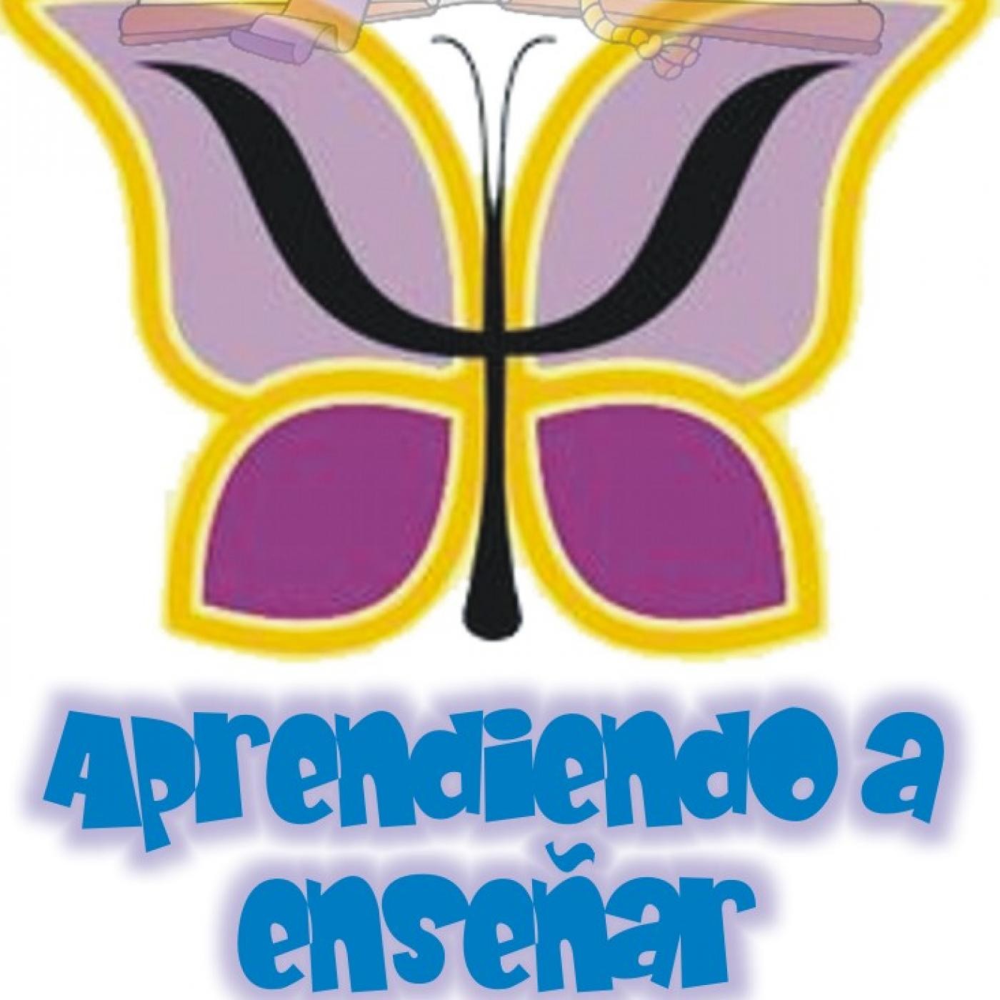 Aprendiendo a enseñar