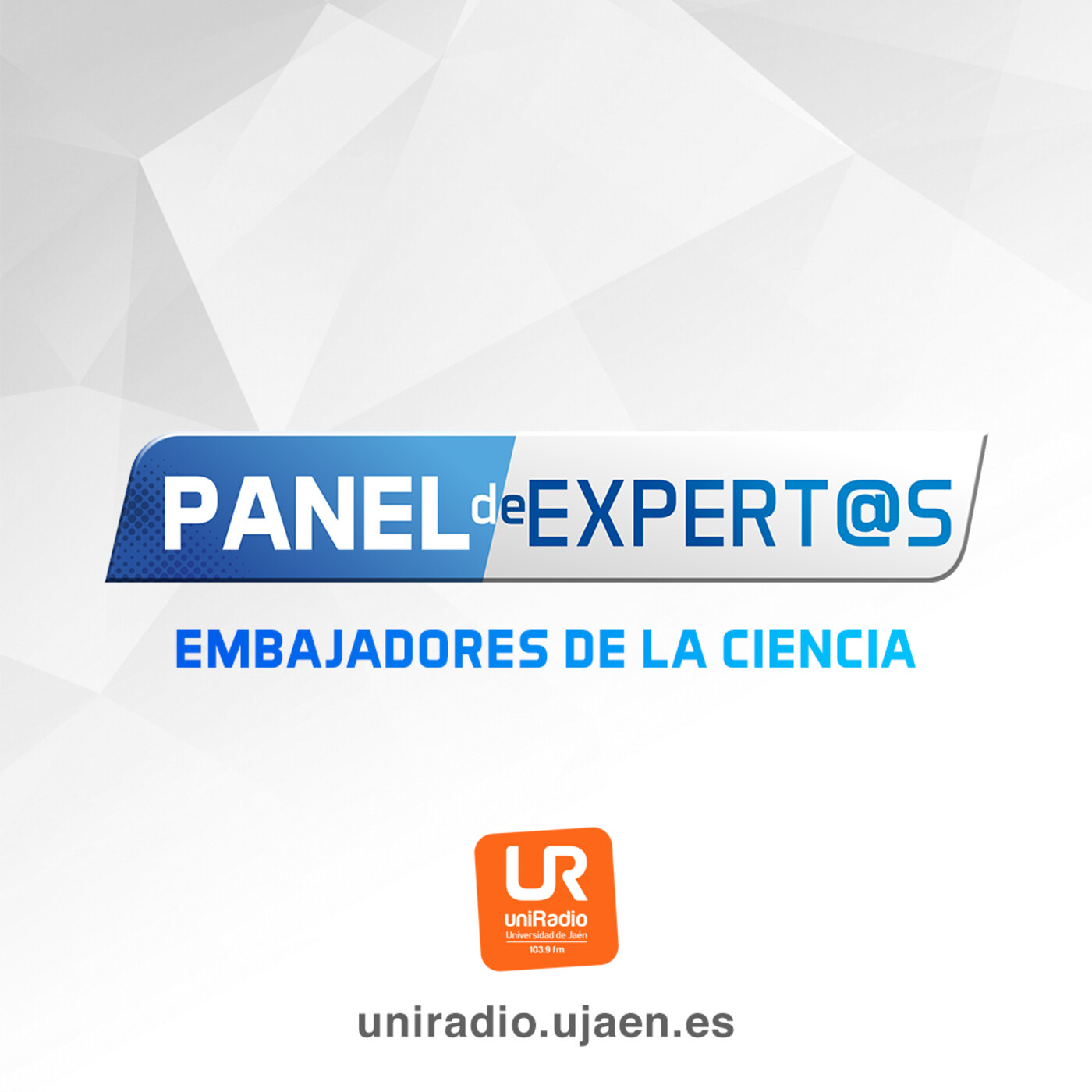 PANEL DE EXPERTOS