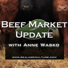 Beef Market Update: Steady on, as prices mirror early 2019