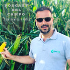 Agrolink - Podcast del Campo