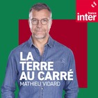 Le reportage de la terre au carré 13.11.2019