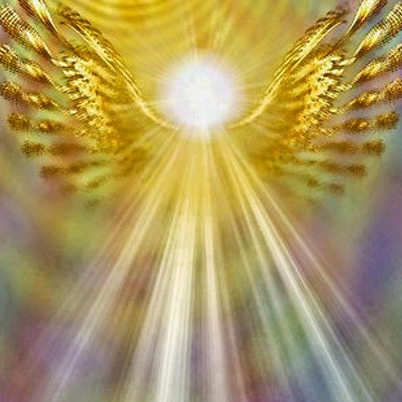 !!Vuelo de la Mariposa!!