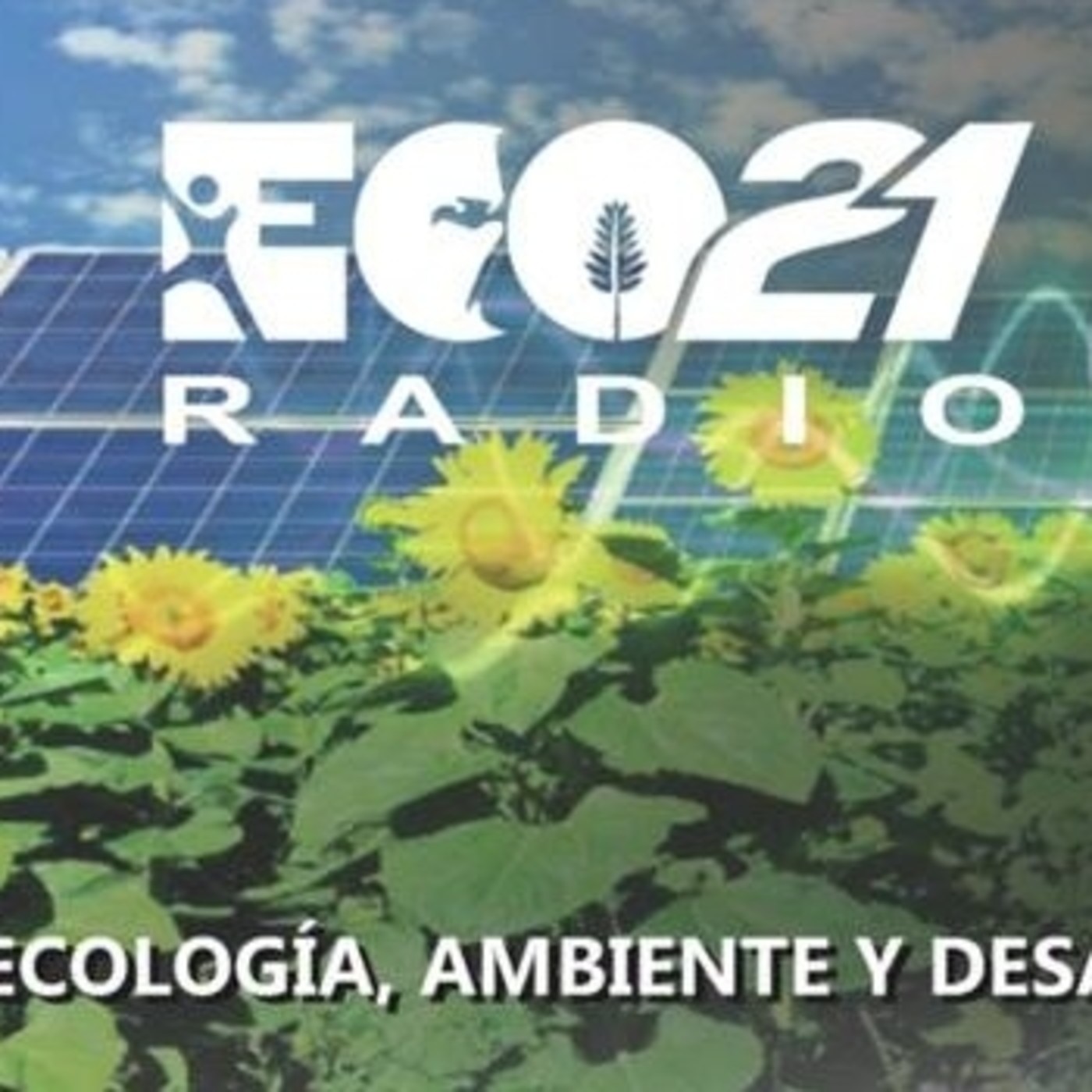 ECO 21 RADIO