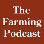 Episode-136 Summer Finished Beef Results