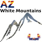AZWMP - Community Shout - 03-26-20 - White Mountain Information