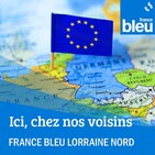 De nouvelles clotures anti peste porcine en Belgique