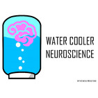 WCNeuro S2, EP 5 – An interview with Professor Matthew Brookes