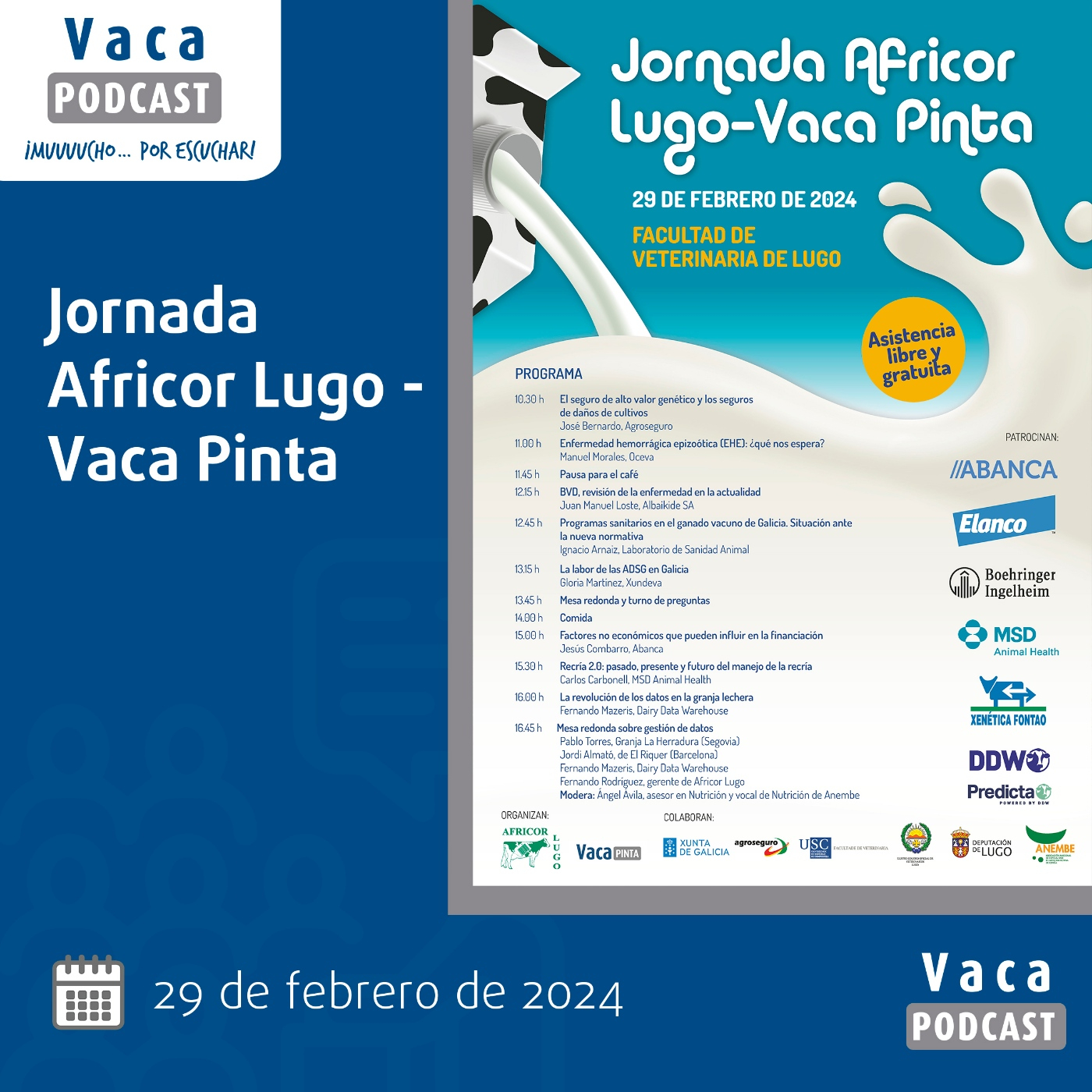 Xornada Africor 2024