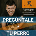 Fernando Pérez educador canino