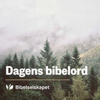 Dagens bibelord 20/08/19 – Ef 4,17-28