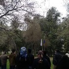 Entrevista comunero en marcha por pillmaiken