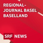 Basler Linke fordert Mini-Klimasteuer