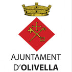 Ple Municipal 30/05/2017