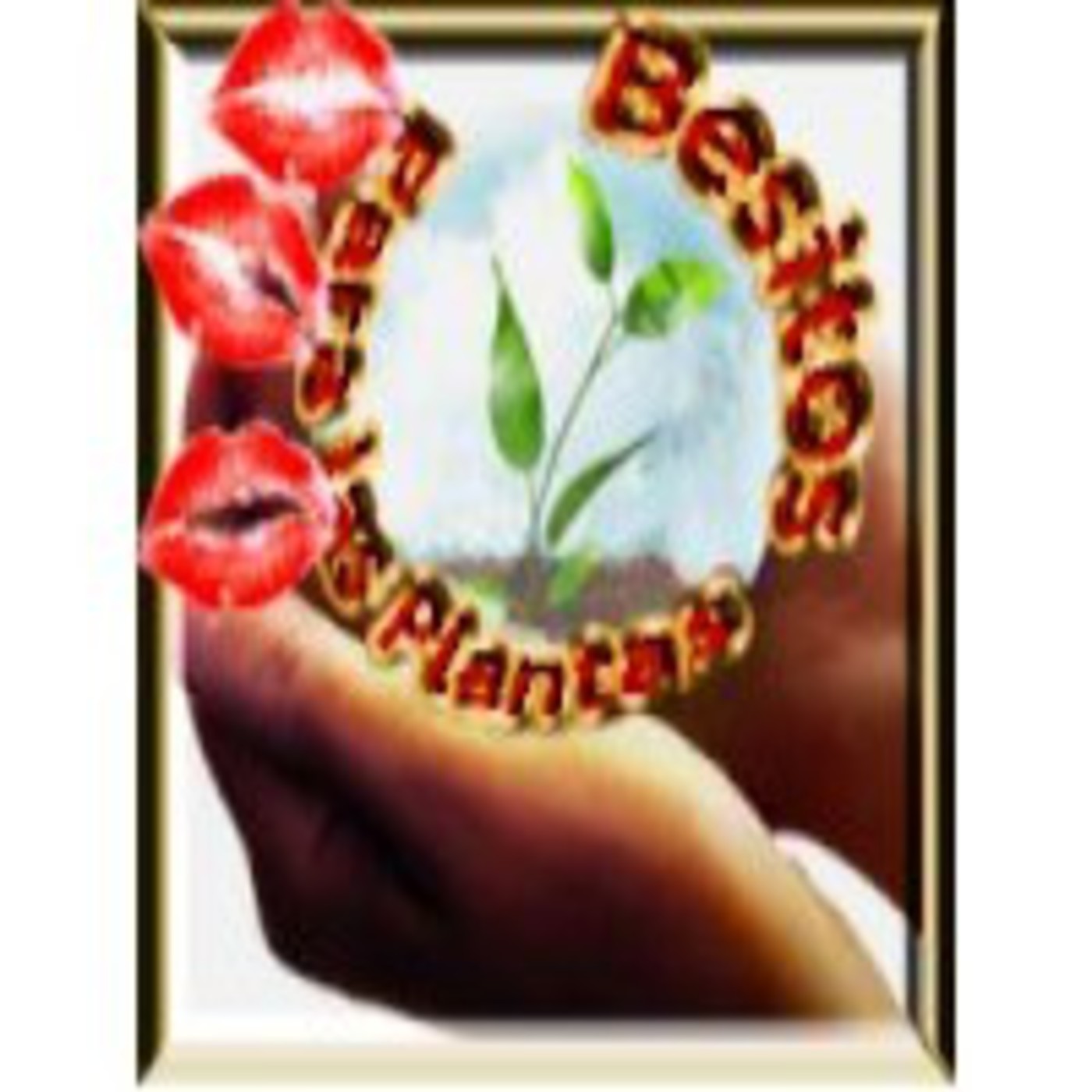 Podcast Micro Programa Besitos Para Las Plantas