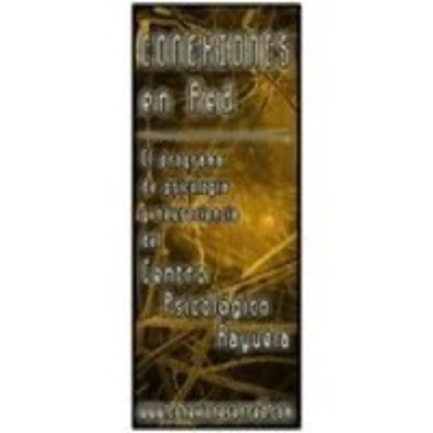 ConexionesEnRed.com