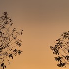 Haiku entre Silencios