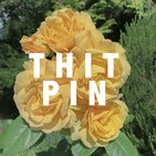 Introducing the Thitpin Podcast