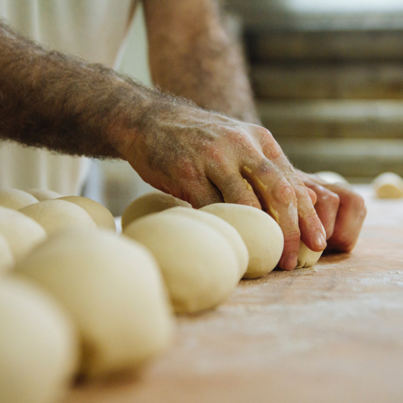 OFICIOS QUE MARCAN CAMINOS PARA LA PAZ 2019