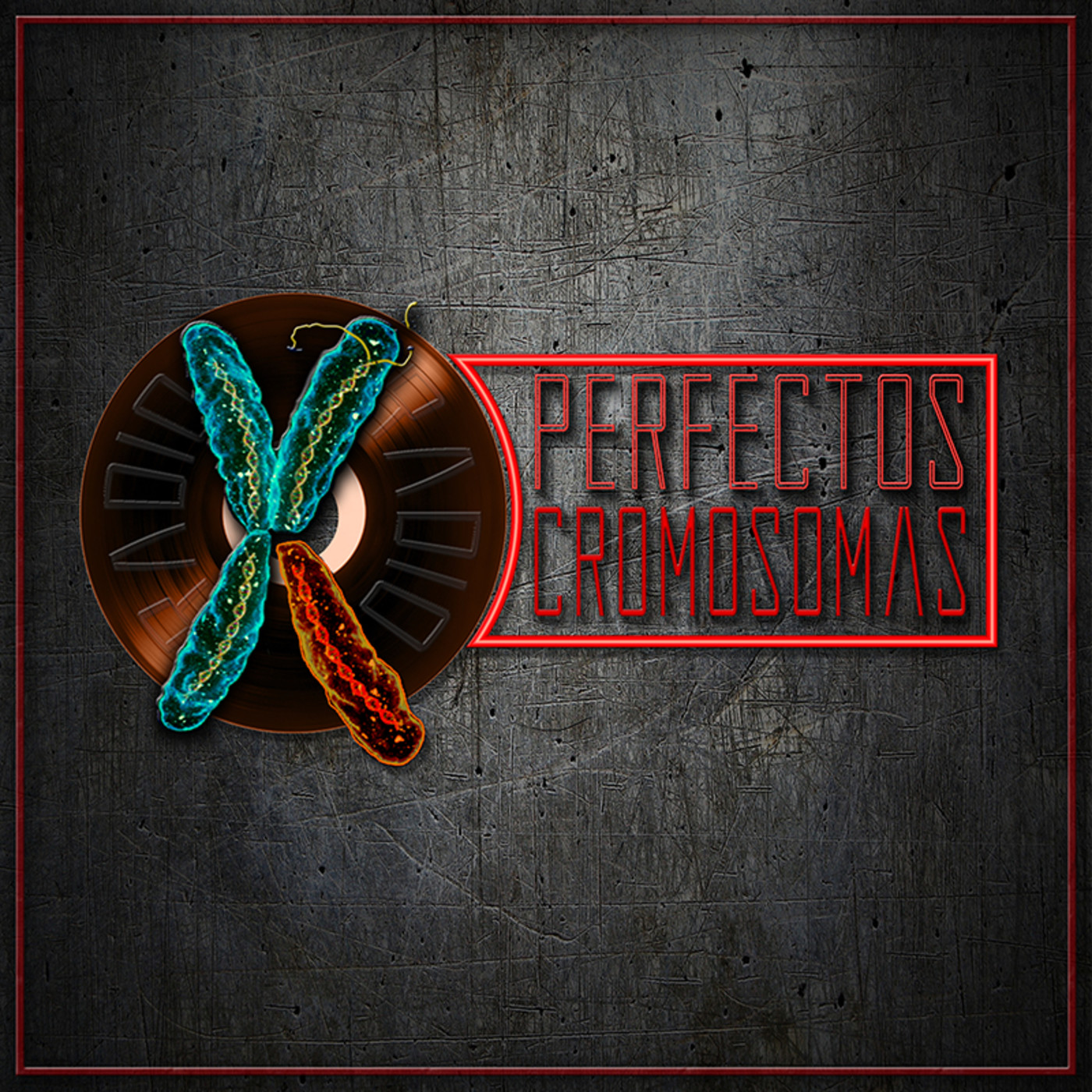 Perfectos Cromosomas