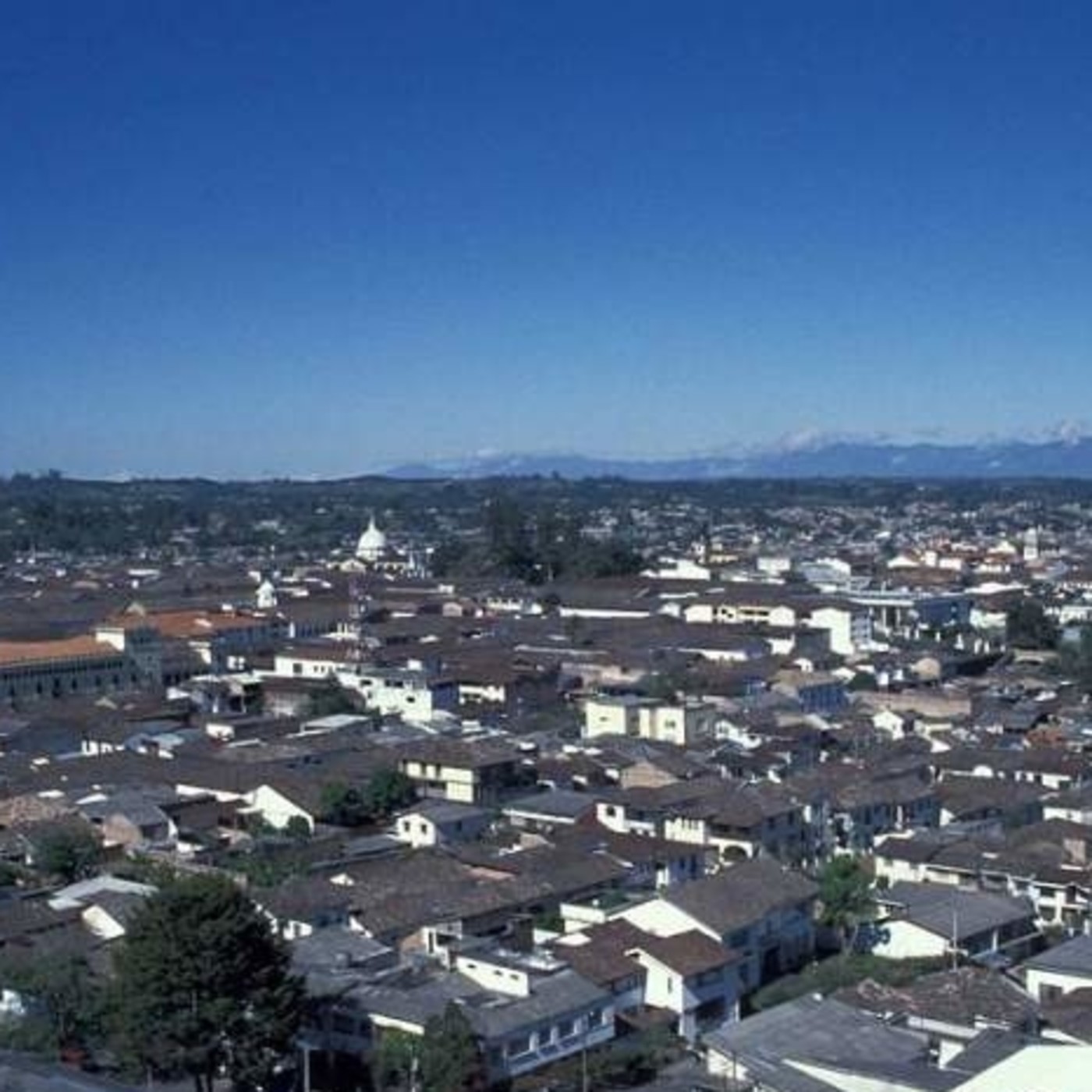 ANGIE LORENA RAMIREZ MENESES