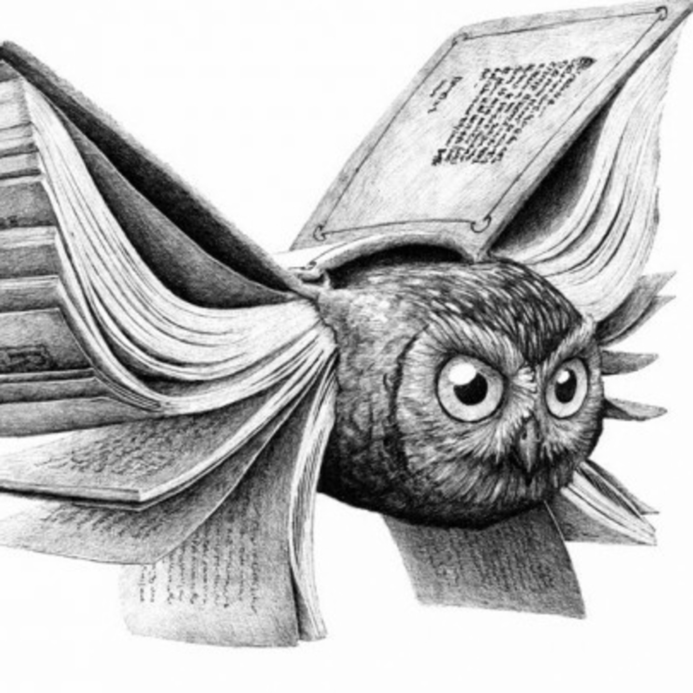 Audiolibro: Fábulas en verso (originales), de Concepción Arenal (1851)