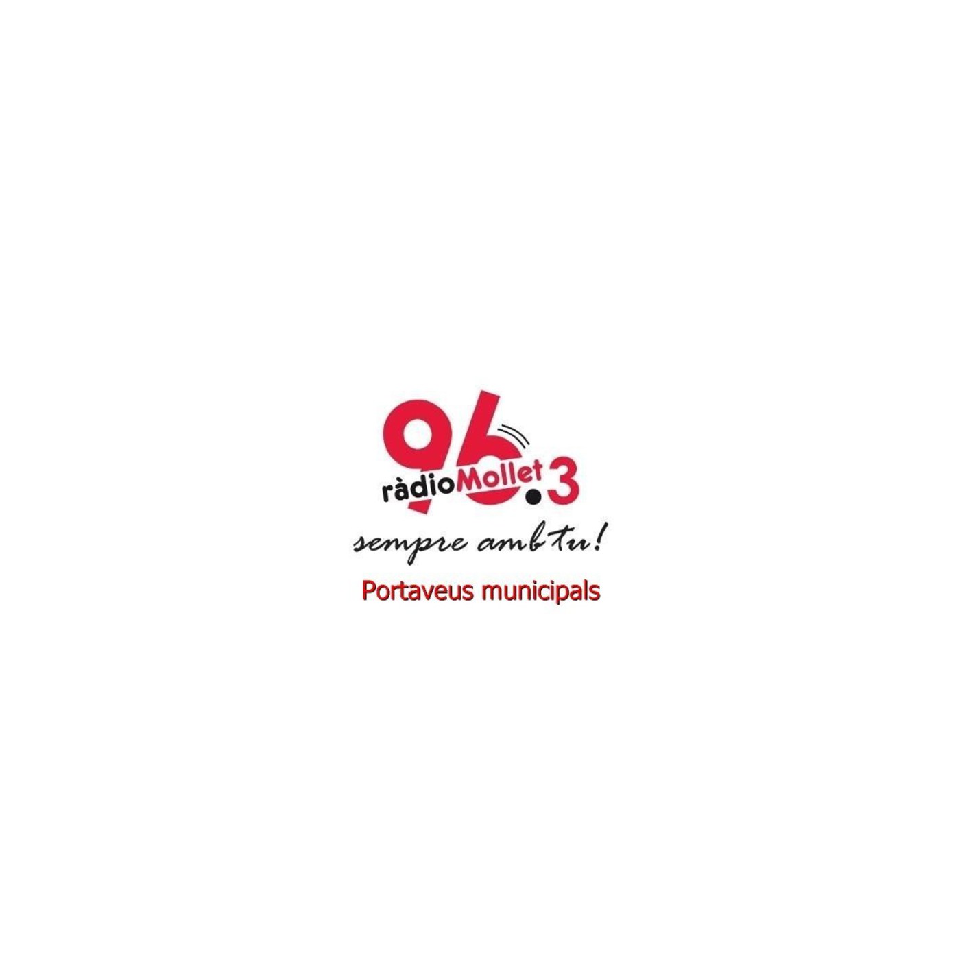 Portaveus municipals