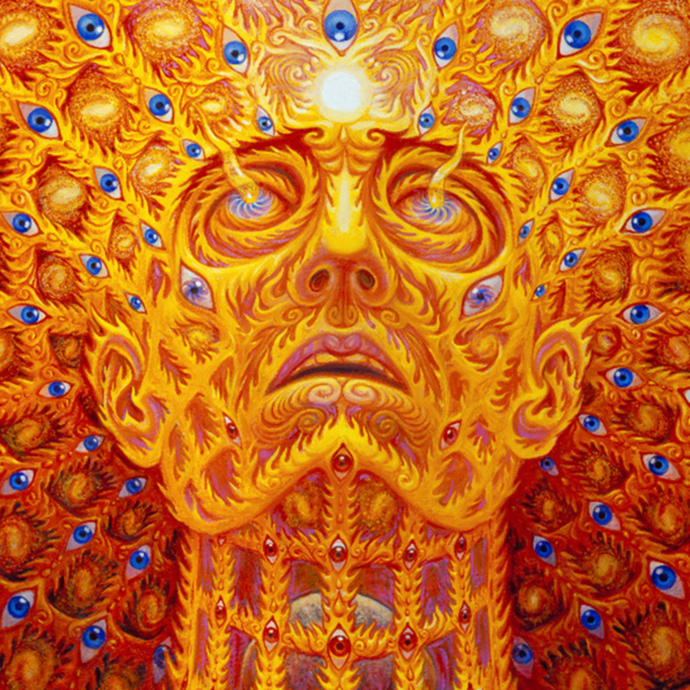 Conversaciones y entrevistas