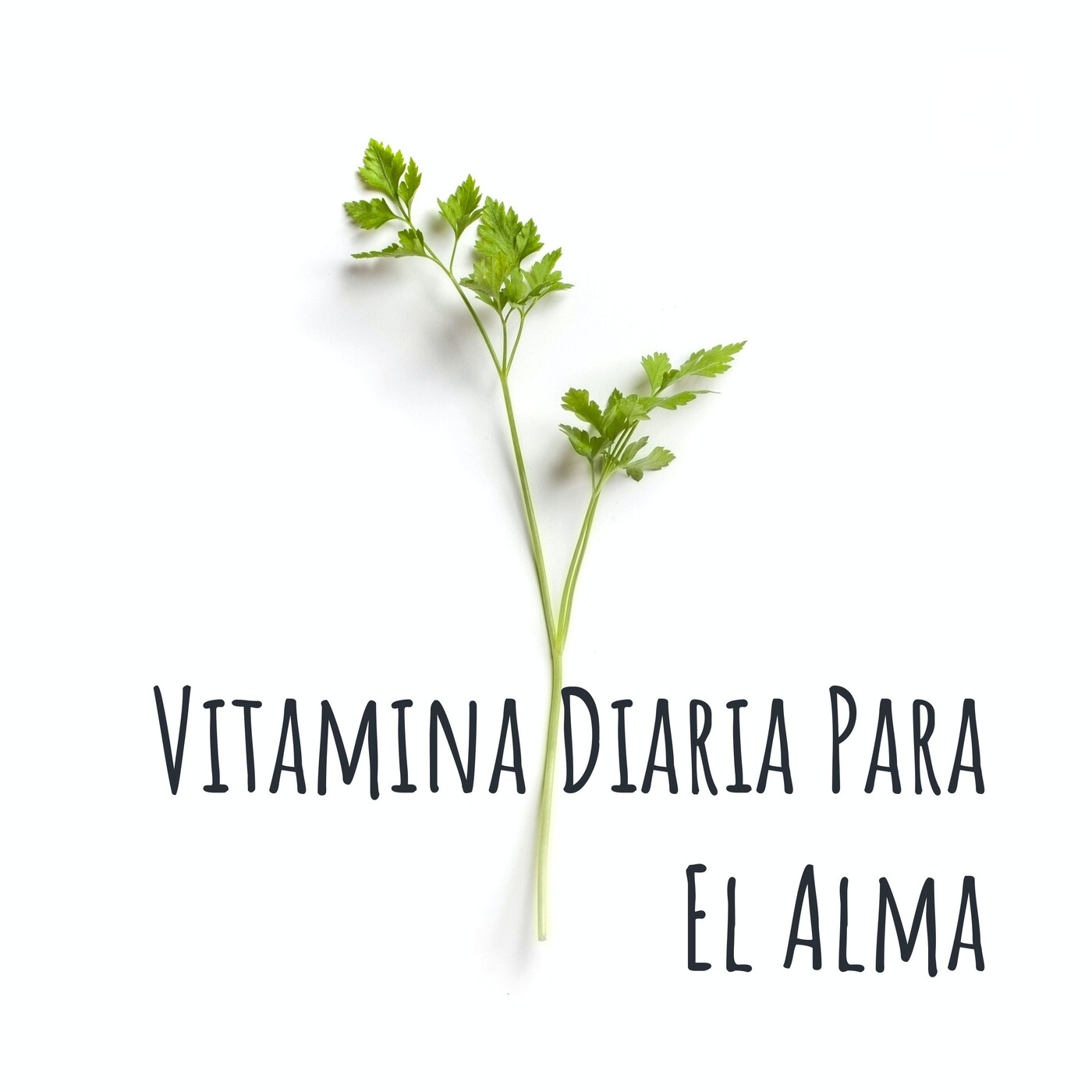 Evolución y viaje espiritual