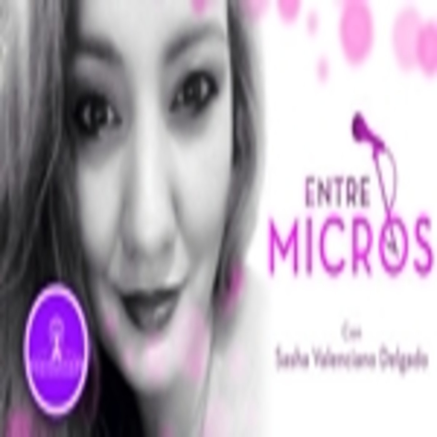 Entre Micros