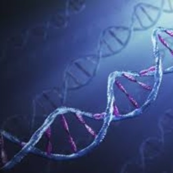 El transhumanismo y su cultura