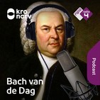 3 december 2019: Trouwen, opnieuw