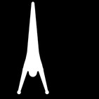 embed image