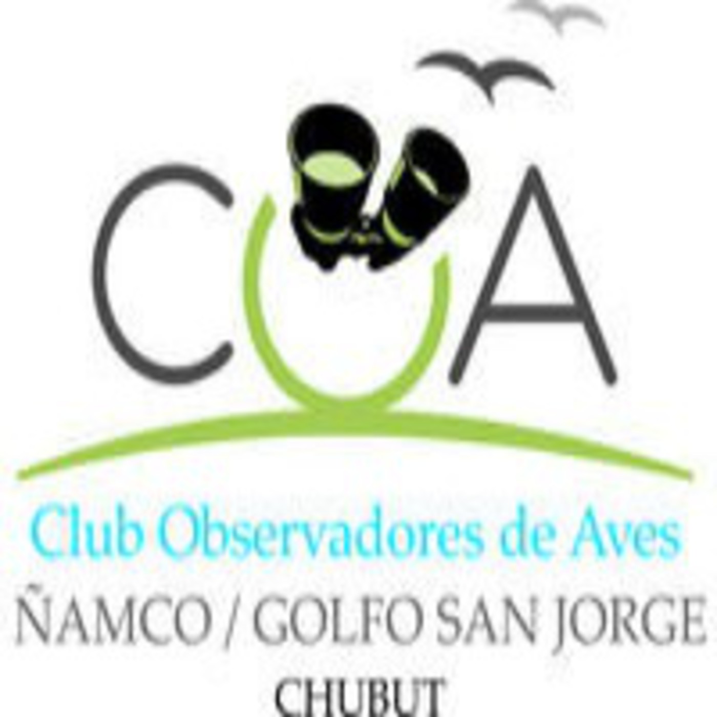 COA Golfo San Jorge - Aves de Patagonia Argentina