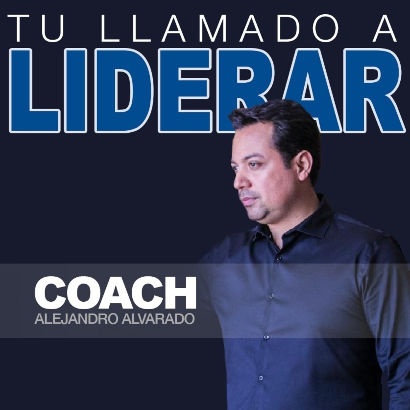 4 NIVELES DE ACTITUD LABORAL