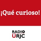 Qué Curioso_T5_PGM13