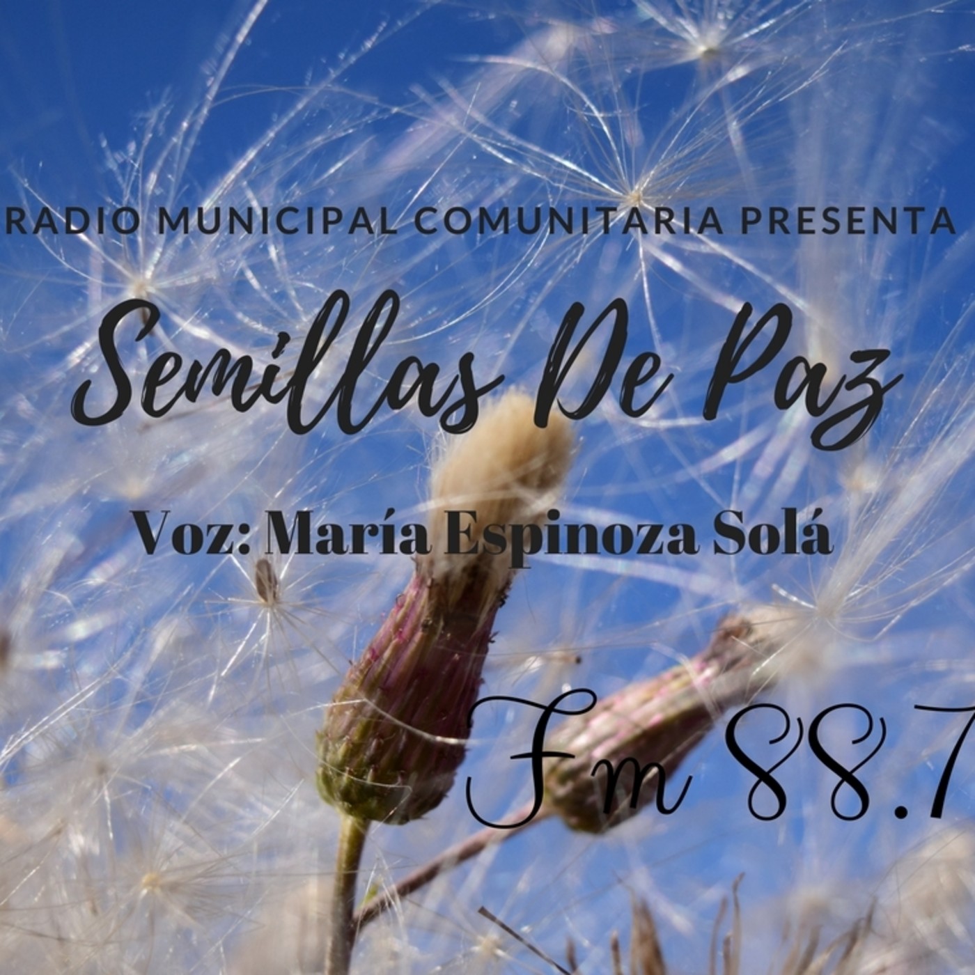 Semillas de paz