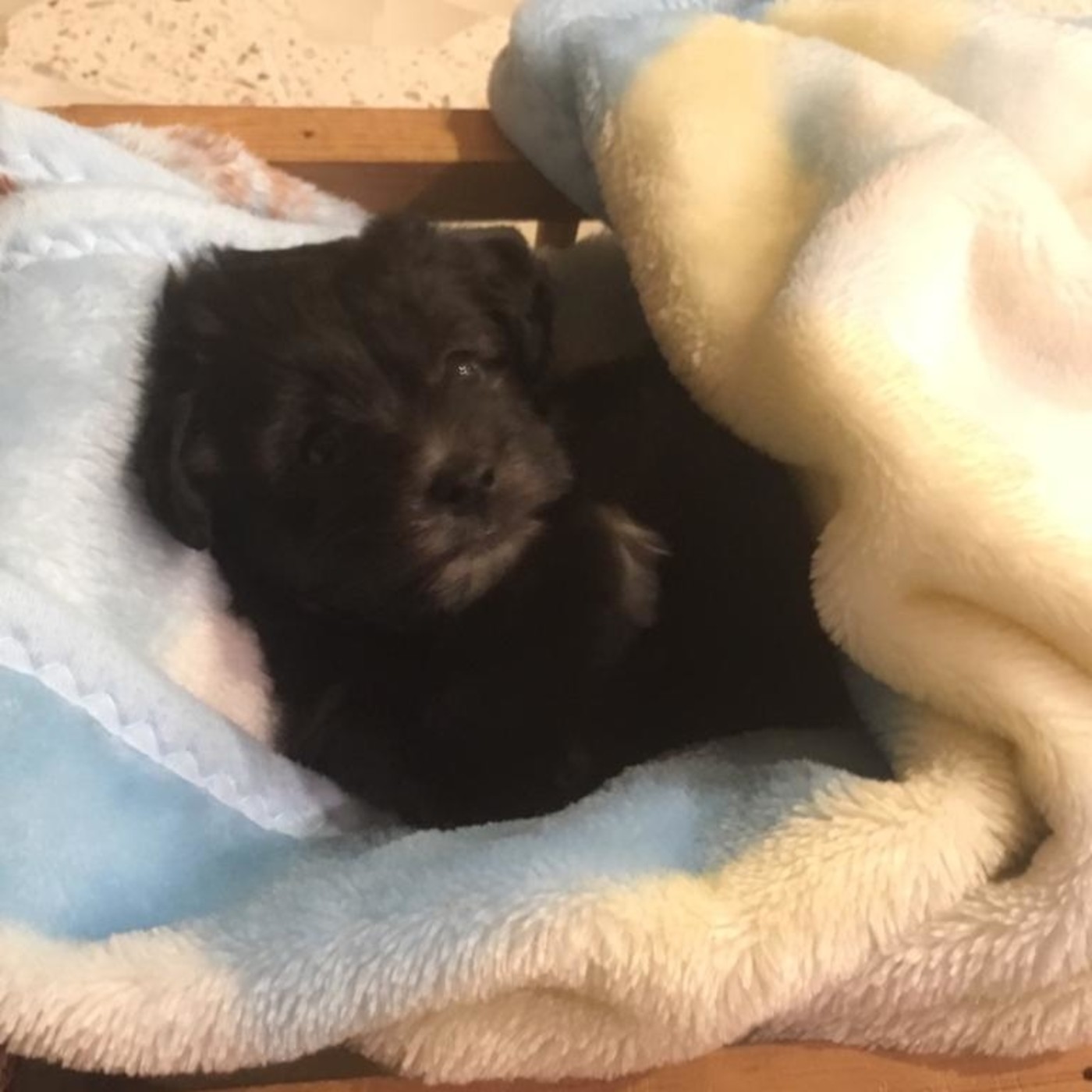 Audios para el Mapa Sonoro de Geografía