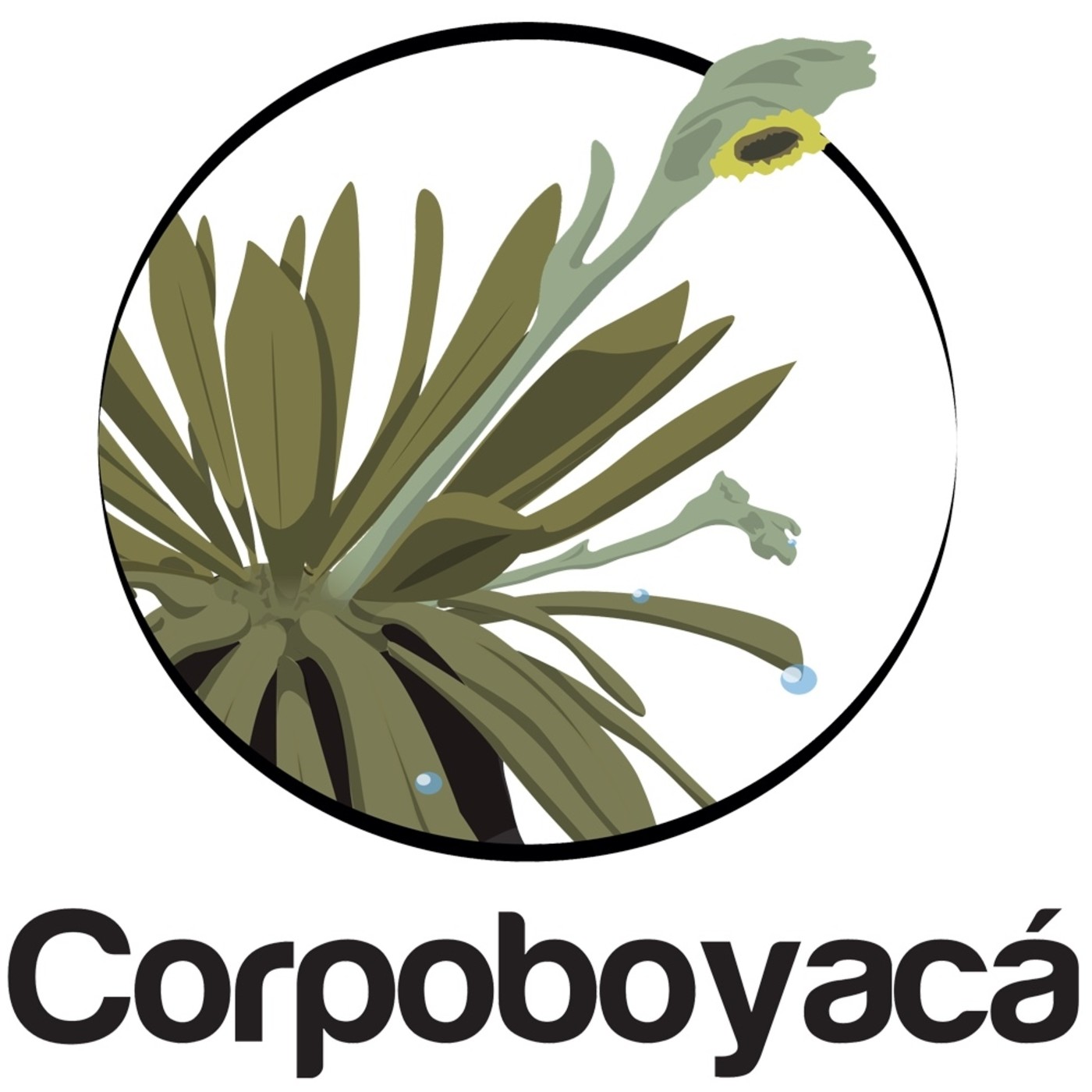 Verdades y Mitos de los Páramos