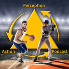 315 – Interview with Christian Vater, Bern, Using Peripheral Vision in Sports, Gaze Training