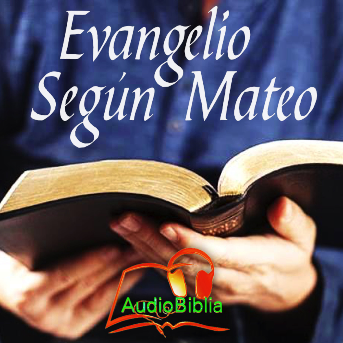 NT-01 Libro de Mateo, Audiobiblia