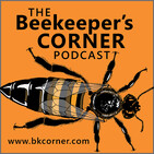 BKCorner Episode 166 - Justin Time