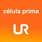 CÉLULA PRIMA