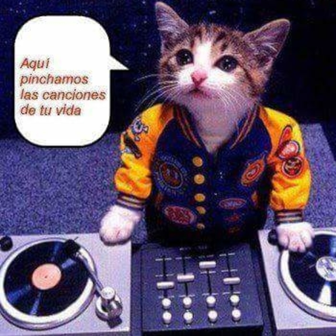 Penúltimo programa HABLA CONMIGO...........