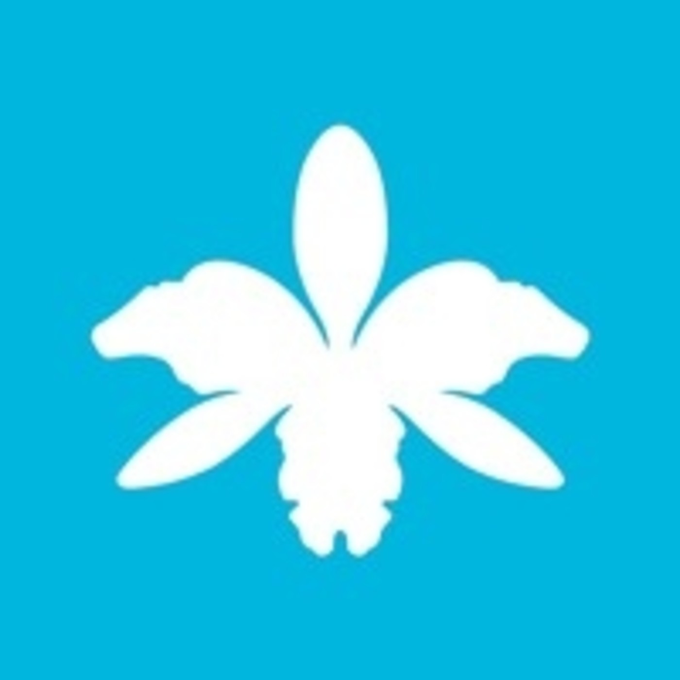 Festival de Cine La Orquidea