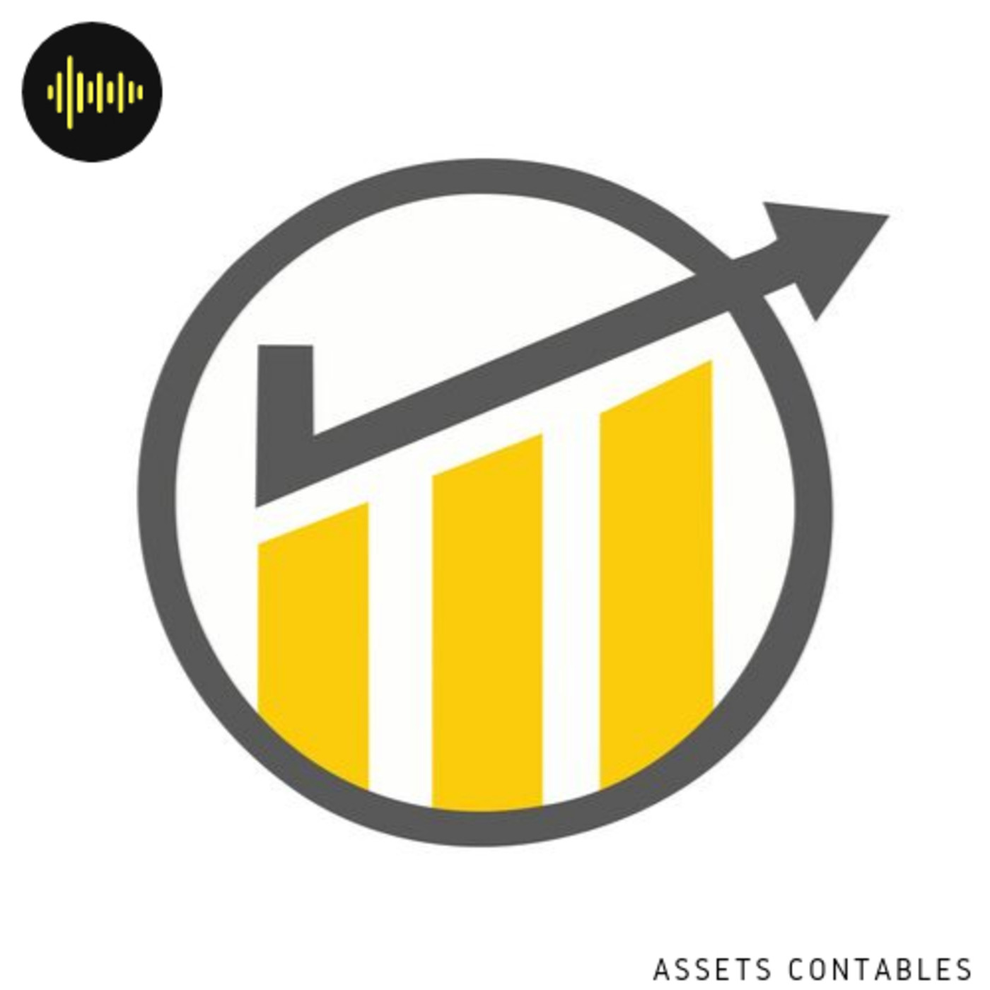 DIARIO DE UN CONTADOR